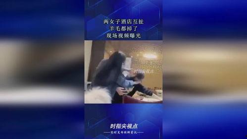 最新羊毛爆料视频播放网站  第1张
