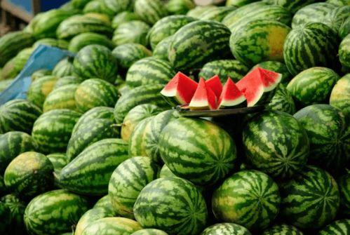 网红吃瓜都有哪些名字,揭秘网络红人的“瓜田”昵称 第3张 网红吃瓜都有哪些名字,揭秘网络红人的“瓜田”昵称 第3张